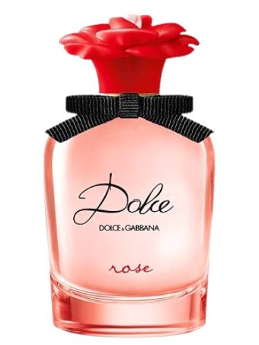 perfume dolce gabbana dolce rosa|Dolce & Gabbana red perfume fragrantica.